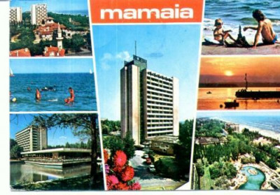 CP86-46 -Mamaia -circulata 1981 foto