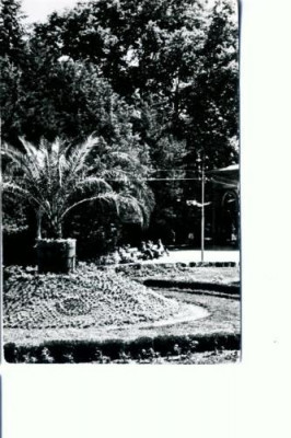 CP102-09 -Buzias -Vedere din parc -RPR -circulata 1957 foto