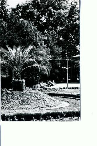 CP102-09 -Buzias -Vedere din parc -RPR -circulata 1957