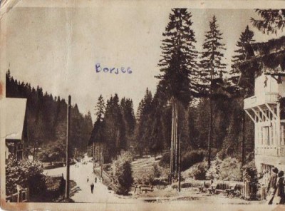 R1014 Borsec circulat RPR foto
