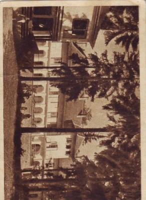 R1018 RPR Borsec circulat foto