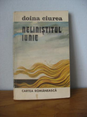 Doina Ciurea - Nelinistitul iunie foto