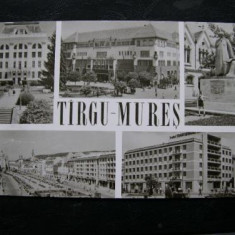 Targu Mures (Tirgu Mures) - mozaic * R.P.R.