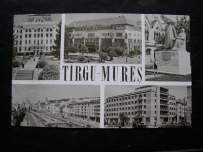 Targu Mures (Tirgu Mures) - mozaic * R.P.R. foto