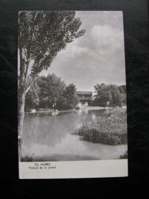 Targu Mures - Vedere de la strand * R.P.R. foto