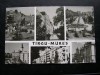Targu Mures (Tirgu Mures) - mozaic * R.P.R., Circulata, Printata