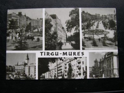 Targu Mures (Tirgu Mures) - mozaic * R.P.R. foto