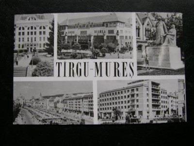 Targu Mures (Tirgu Mures) - mozaic * R.P.R. foto