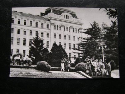 Targu Mures - Institutul medico-farmaceutic * R.P.R. foto