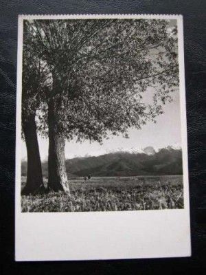 Muntii Fagarasului * R.P.R. foto