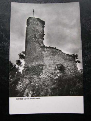 Ruinele Cetatii Balvatoria * R.P.R. foto