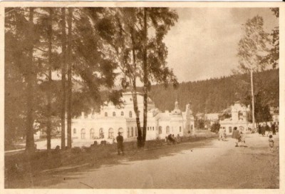R1058 RPR Vatra Dornei necirculat foto