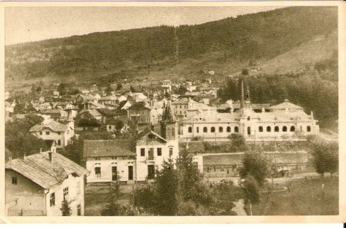 R1063 RPR Vatra Dornei necirculat R1063 RPR Vatra Dornei necirculat