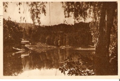 R1087 Sovata circulat RPR foto