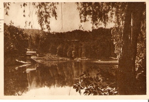 R1087 Sovata circulat RPR