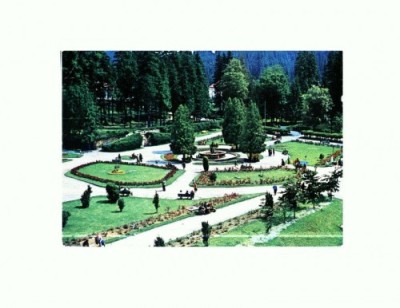 CP150-23 Borsec: Parcul central - circulata 1981 foto