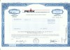 01 Certificat actiuni SUA - perforat -pentru colectionari
