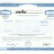 01 Certificat actiuni SUA - perforat -pentru colectionari
