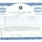 03 Certificat actiuni SUA - perforat -pentru colectionari