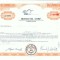 05 Certificat actiuni SUA - perforat -pentru colectionari