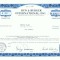06 Certificat actiuni SUA - perforat -pentru colectionari