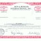 07 Certificat actiuni SUA - perforat -pentru colectionari