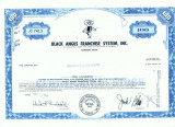 08 Certificat actiuni SUA - perforat -pentru colectionari