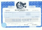 10 Certificat actiuni SUA - perforat -pentru colectionari