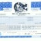 10 Certificat actiuni SUA - perforat -pentru colectionari