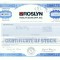 17 Certificat actiuni SUA - perforat -pentru colectionari