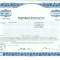19 Certificat actiuni SUA - perforat -pentru colectionari