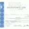 31 Certificat actiuni SUA - perforat -pentru colectionari