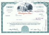 40 Certificat actiuni SUA - perforat -pentru colectionari