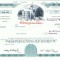 40 Certificat actiuni SUA - perforat -pentru colectionari
