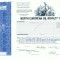 64 Certificat actiuni SUA - perforat -pentru colectionari