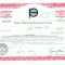 70 Certificat actiuni SUA - perforat -pentru colectionari