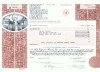 79 Certificat actiuni SUA - perforat -pentru colectionari