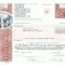 79 Certificat actiuni SUA - perforat -pentru colectionari