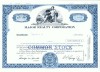 80 Certificat actiuni SUA - perforat -pentru colectionari