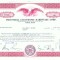 81 Certificat actiuni SUA - perforat -pentru colectionari
