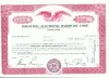 85 Certificat actiuni SUA - perforat -pentru colectionari