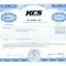 91 Certificat actiuni SUA - perforat -pentru colectionari