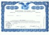 100 Certificat actiuni SUA - perforat -pentru colectionari