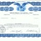 100 Certificat actiuni SUA - perforat -pentru colectionari