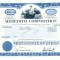 101 Certificat actiuni SUA - perforat -pentru colectionari