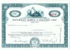 103 Certificat actiuni SUA - perforat -pentru colectionari