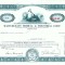 103 Certificat actiuni SUA - perforat -pentru colectionari