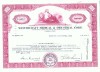 104Certificat actiuni SUA -perforat -pentru colectionari+fiscale