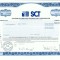 109 Certificat actiuni SUA - perforat -pentru colectionari