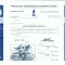 116 Certificat actiuni SUA - perforat -pentru colectionari